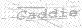 Security Picture (click to change)