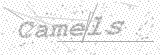 Security Picture (click to change)