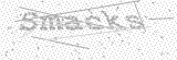 Security Picture (click to change)