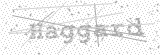 Security Picture (click to change)