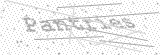 Security Picture (click to change)