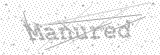 Security Picture (click to change)