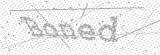 Security Picture (click to change)