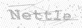 Security Picture (click to change)