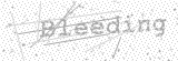 Security Picture (click to change)