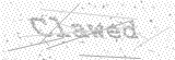 Security Picture (click to change)