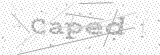 Security Picture (click to change)