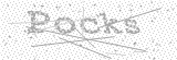 Security Picture (click to change)
