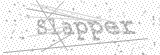 Security Picture (click to change)