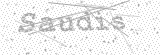 Security Picture (click to change)