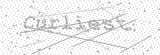 Security Picture (click to change)