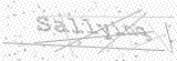 Security Picture (click to change)