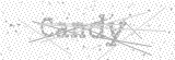 Security Picture (click to change)