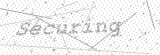 Security Picture (click to change)