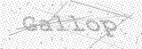 Security Picture (click to change)