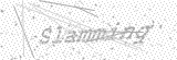 Security Picture (click to change)