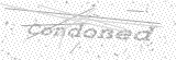 Security Picture (click to change)