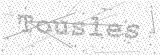 Security Picture (click to change)