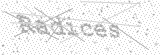 Security Picture (click to change)