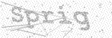 Security Picture (click to change)