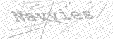 Security Picture (click to change)