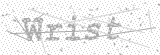 Security Picture (click to change)