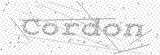 Security Picture (click to change)