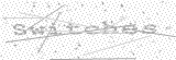 Security Picture (click to change)