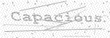 Security Picture (click to change)