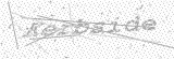 Security Picture (click to change)