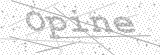 Security Picture (click to change)