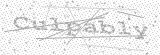 Security Picture (click to change)