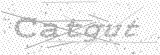 Security Picture (click to change)