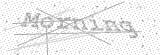 Security Picture (click to change)