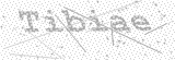 Security Picture (click to change)