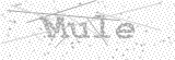 Security Picture (click to change)