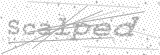 Security Picture (click to change)