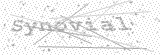 Security Picture (click to change)