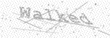 Security Picture (click to change)