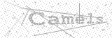 Security Picture (click to change)