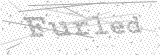 Security Picture (click to change)
