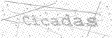 Security Picture (click to change)