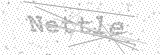 Security Picture (click to change)