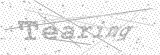 Security Picture (click to change)