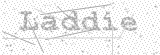 Security Picture (click to change)
