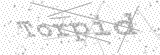 Security Picture (click to change)