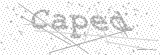 Security Picture (click to change)