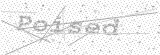 Security Picture (click to change)