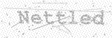 Security Picture (click to change)