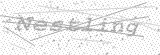 Security Picture (click to change)